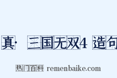 真·三国无双4造句是什么意思的图片